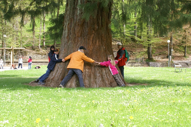 Neun Mann für einen Baum